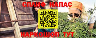 индика Гусев