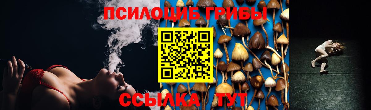 Лесной  Псилоцибиновые грибы Magic Shrooms  Вход с VPN  Галлюциногенные грибы Cubensis 